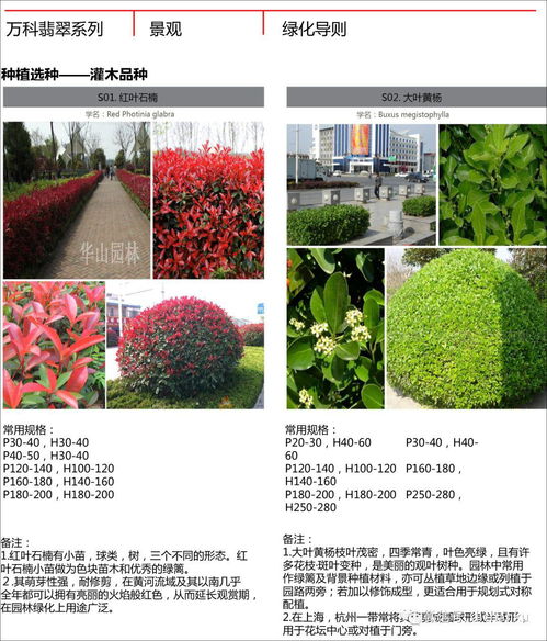 萬科翡翠系高端產(chǎn)品景觀技術(shù)標(biāo)準(zhǔn)及其在中草藥科技領(lǐng)域的應(yīng)用啟示